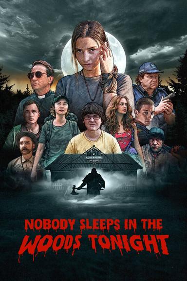 Nobody Sleeps in the Woods Tonight poster