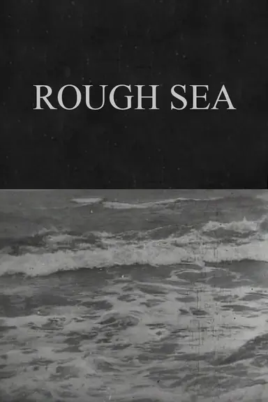 Rough Sea poster