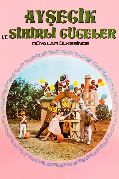 Aysecik in the Land of the Magic Dwarfs poster