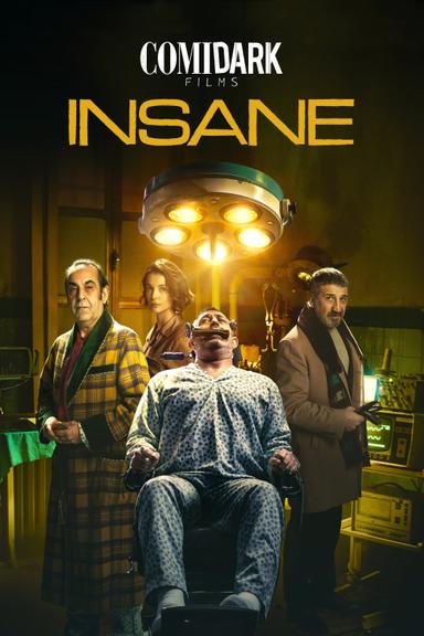 Comidark Films 2: Insane poster