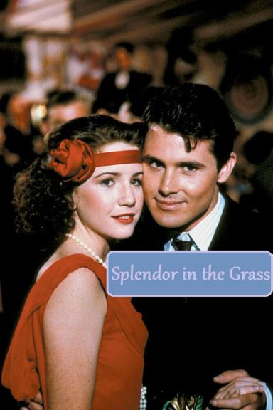 Splendor in the Grass poster