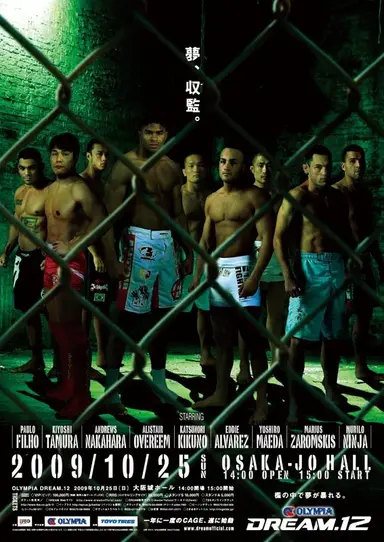 DREAM 12 poster