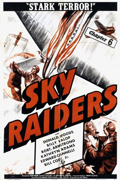 Sky Raiders poster