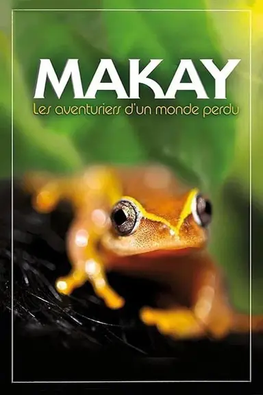 Makay The Lost World poster