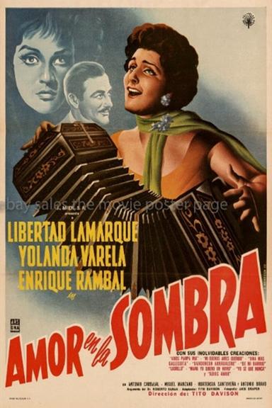 Amor en la sombra poster