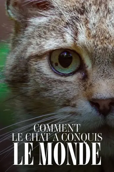 Comment le chat a conquis le monde poster