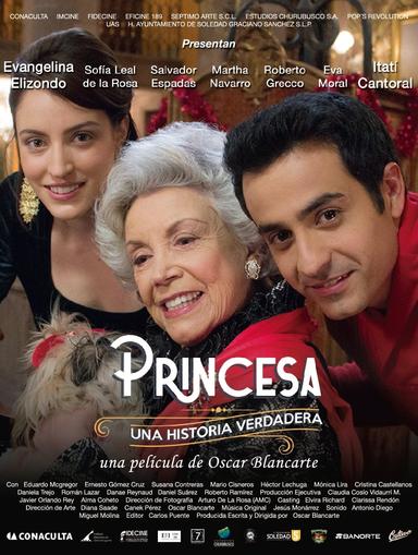 Princess, A True Story poster