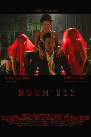Room 213 poster