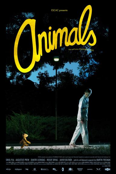 Animals poster