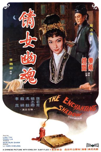 The Enchanting Shadow poster