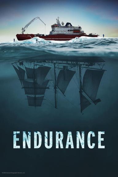 Endurance poster