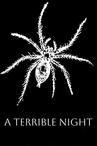 A Terrible Night poster