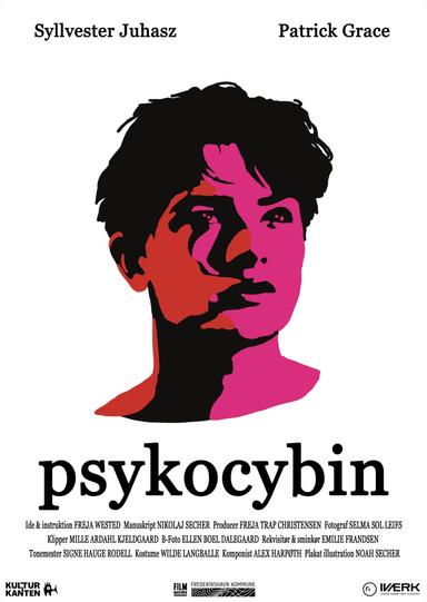 Psykocybin poster
