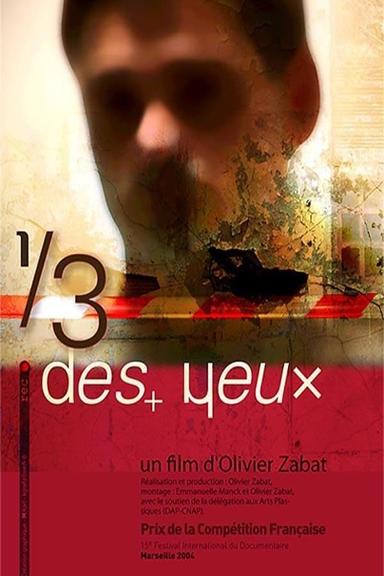 1/3 des yeux poster