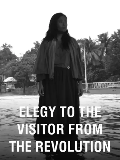 Elegy to the Visitor from the Revolution poster