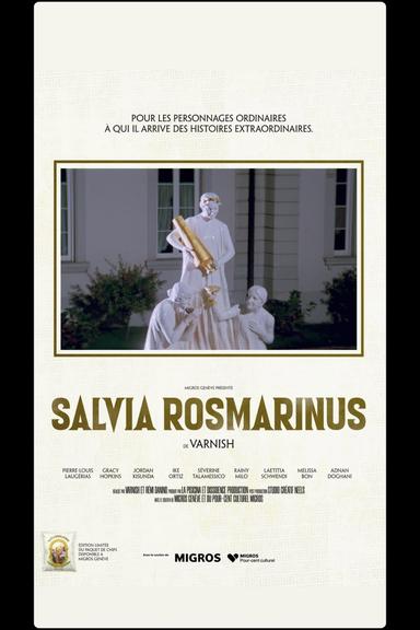 SALVIA ROSMARINUS poster