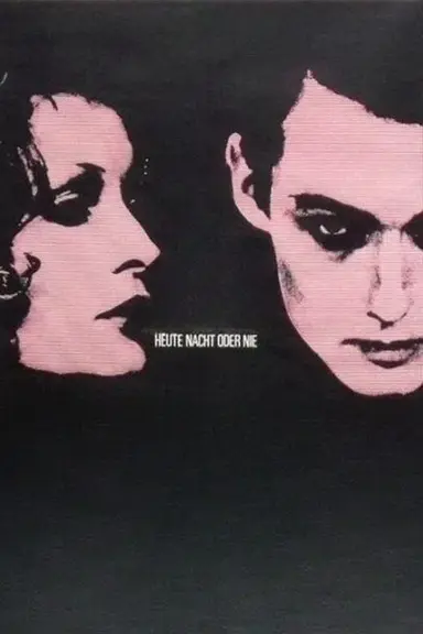 Tonight or Never poster