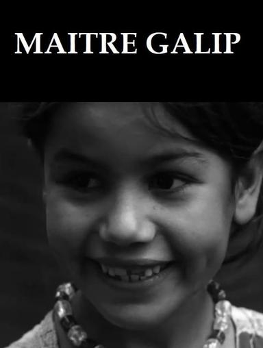 Maître Galip poster