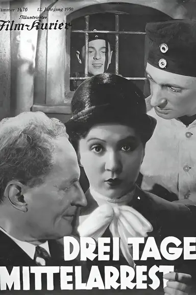 Three Days in the Guardhouse poster