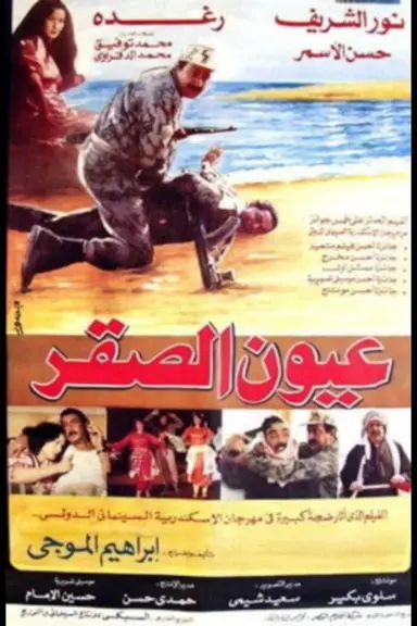 Hawk's Eyes poster