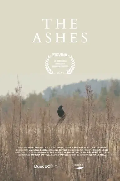 The Ashes poster