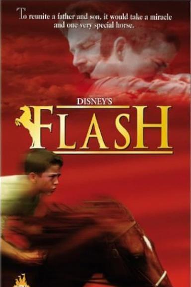 Flash poster