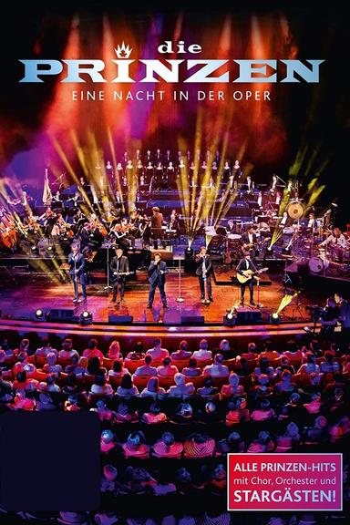 Die Prinzen - Eine Nacht in der Oper poster