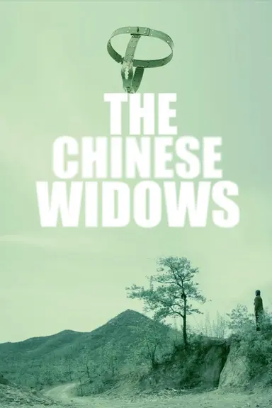 中国式寡妇 poster