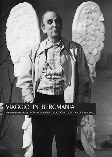 Viaggio in Bergmania poster