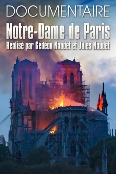 Notre-Dame de Paris des Frères Naudet poster