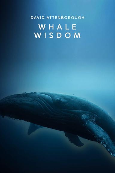 Whale Wisdom poster