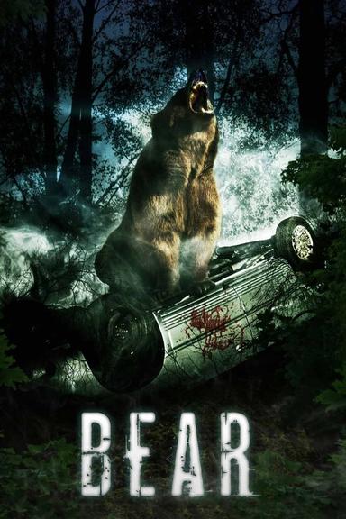 Bear poster