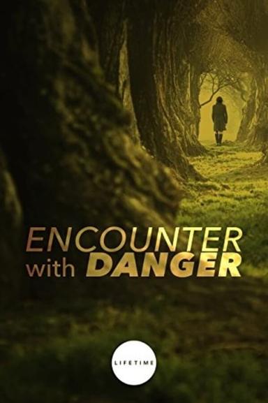 Encounter with Danger poster