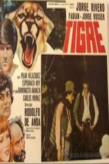 Tigre poster