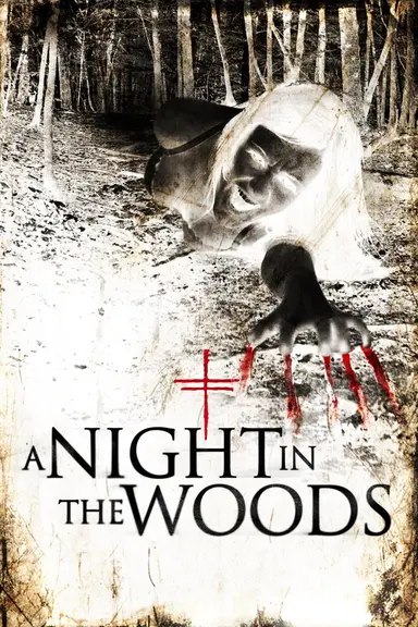 A Night in the Woods poster