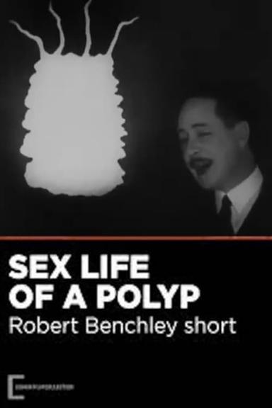 The Sex Life of the Polyp poster