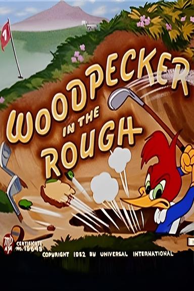 Woodpecker in the Rough poster