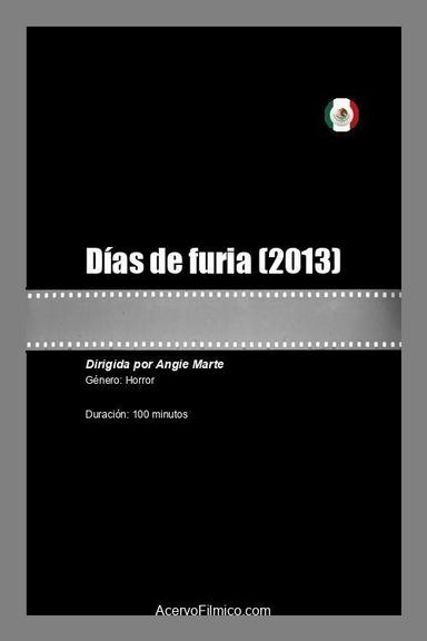 Días de furia poster