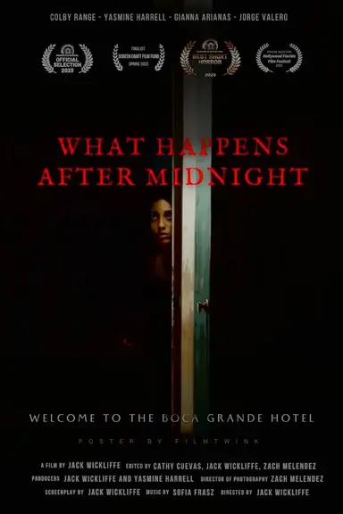 What Happens After Midnight poster