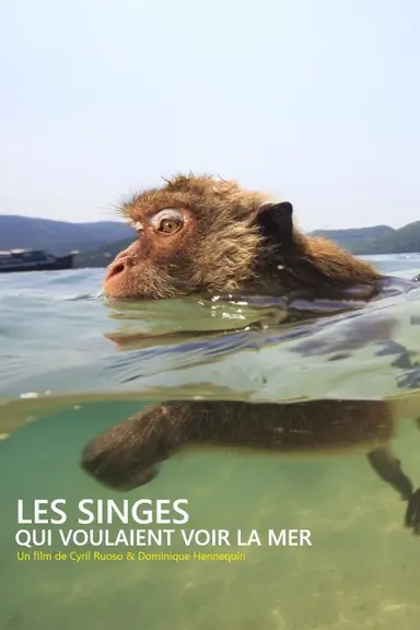 Les singes qui voulaient voir la mer poster