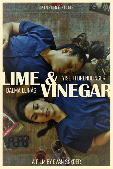 Lime & Vinegar poster