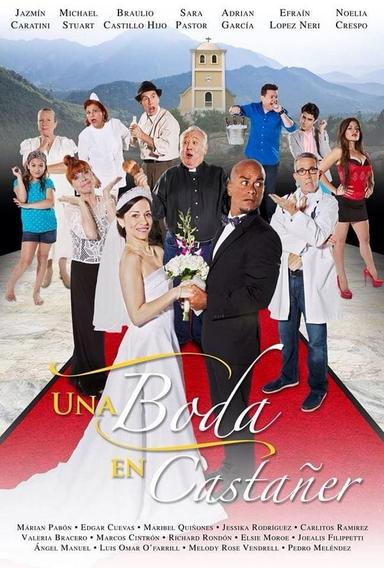 A Wedding in Castañer poster