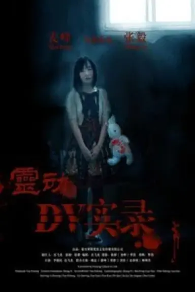 灵动DV实录 poster