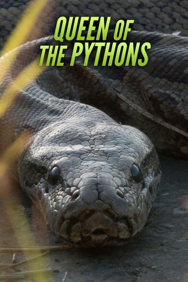 Queen of the Pythons poster