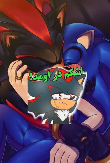 Sonic & Shadow Lovely Lavat poster