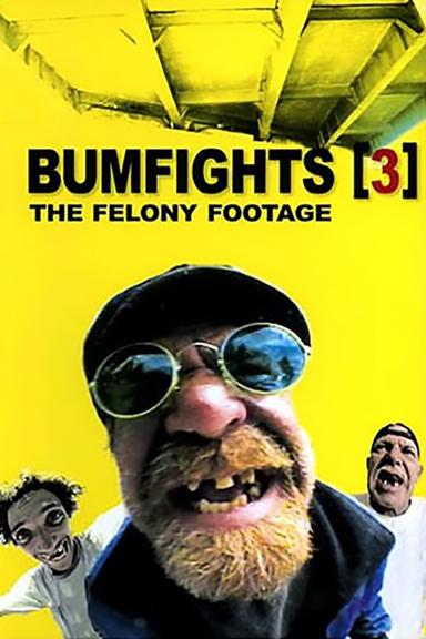 Bumfights Vol. 3: The Felony Footage poster