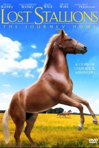 Lost Stallions: The Journey Home poster