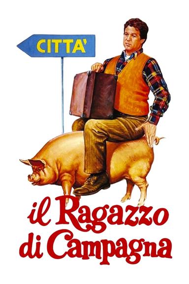 Il ragazzo di campagna poster