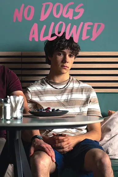 No Dogs Allowed poster