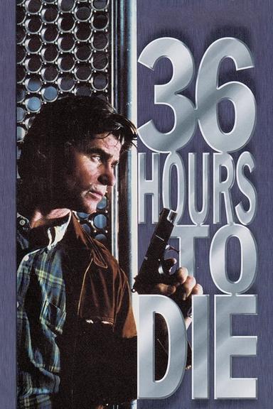 36 Hours to Die poster